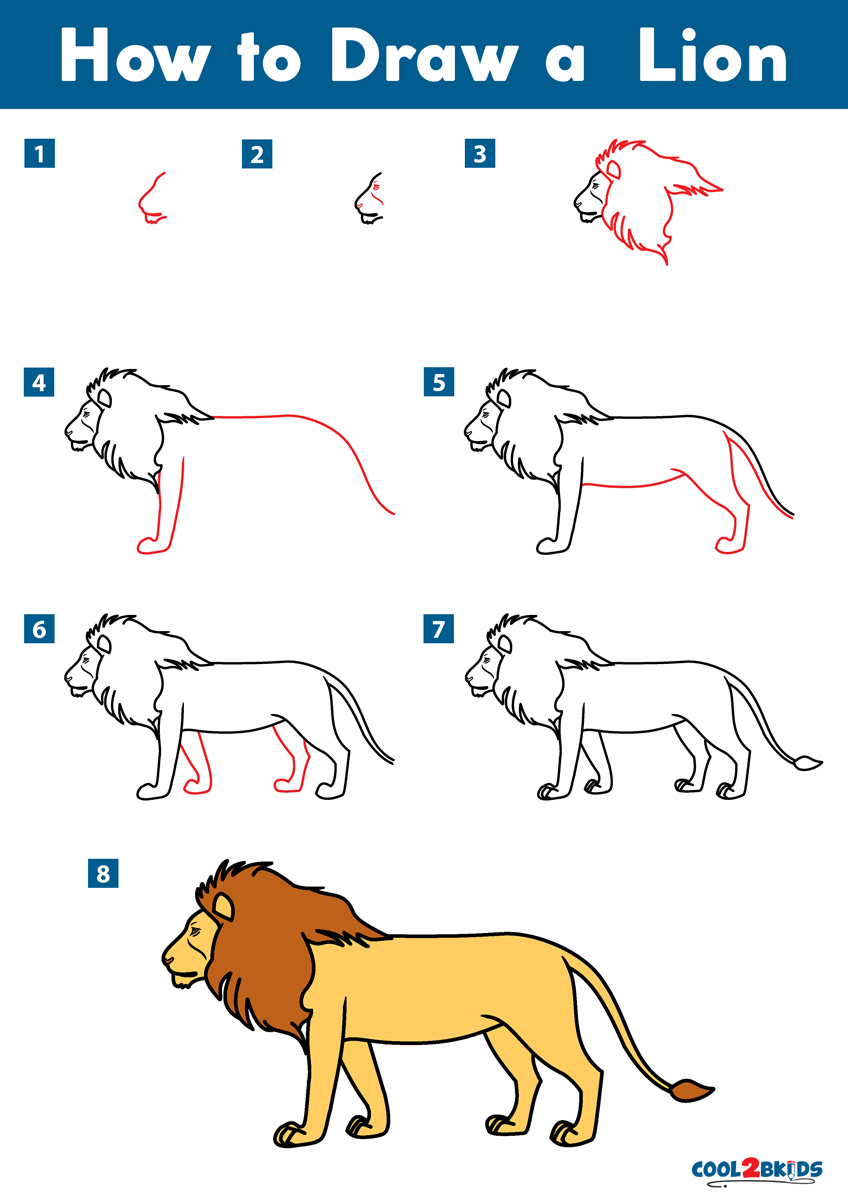 How to Draw a Lion - Cool2bKids