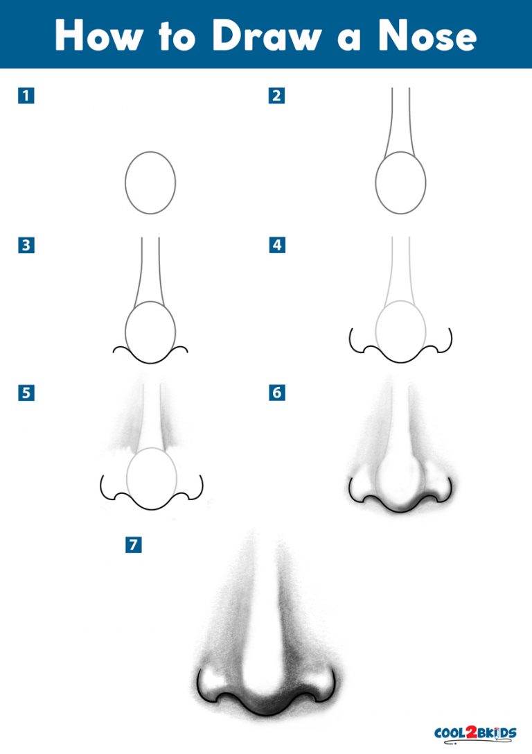 How to Draw a Nose - Cool2bKids