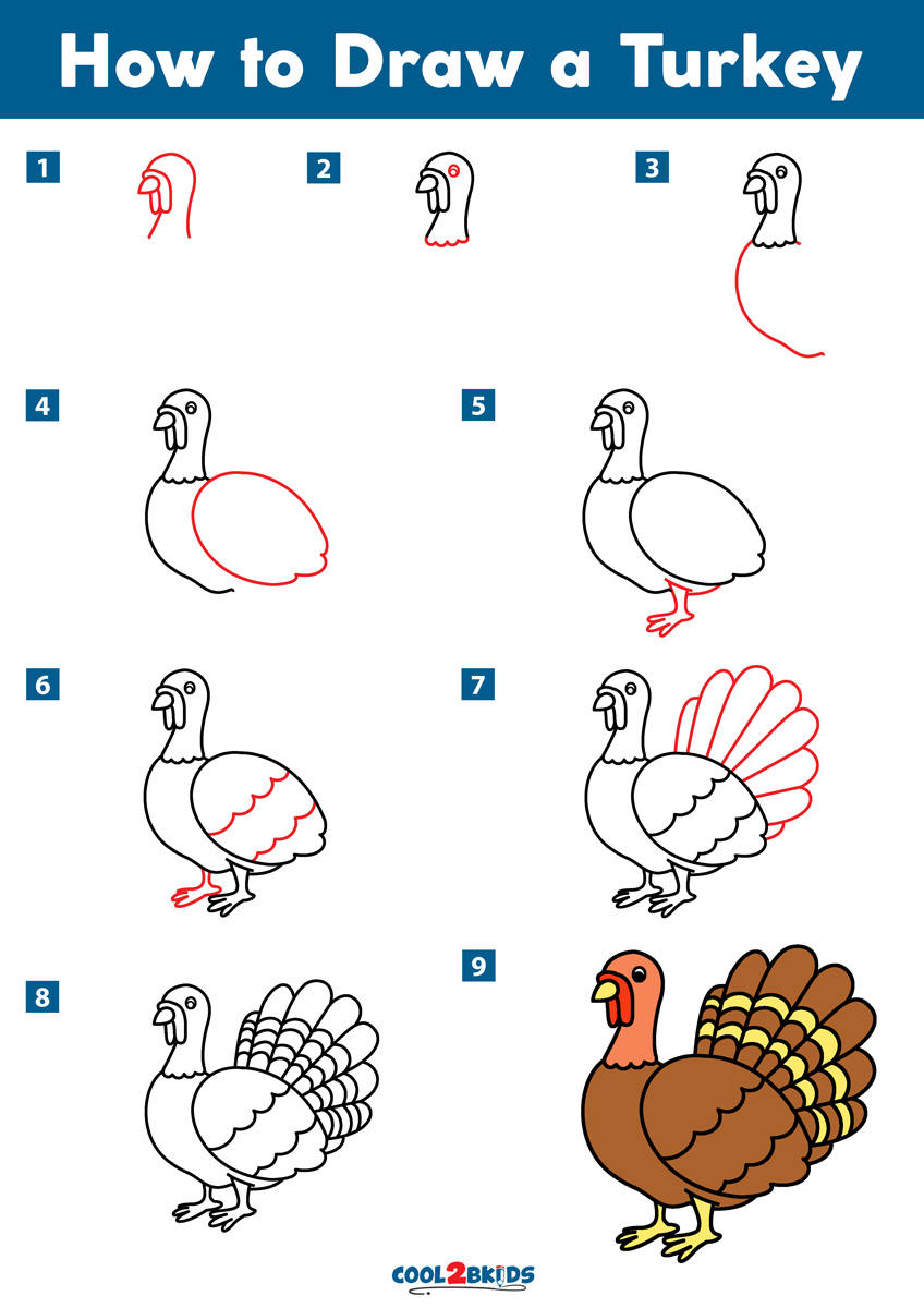How to Draw a Turkey Cool2bKids