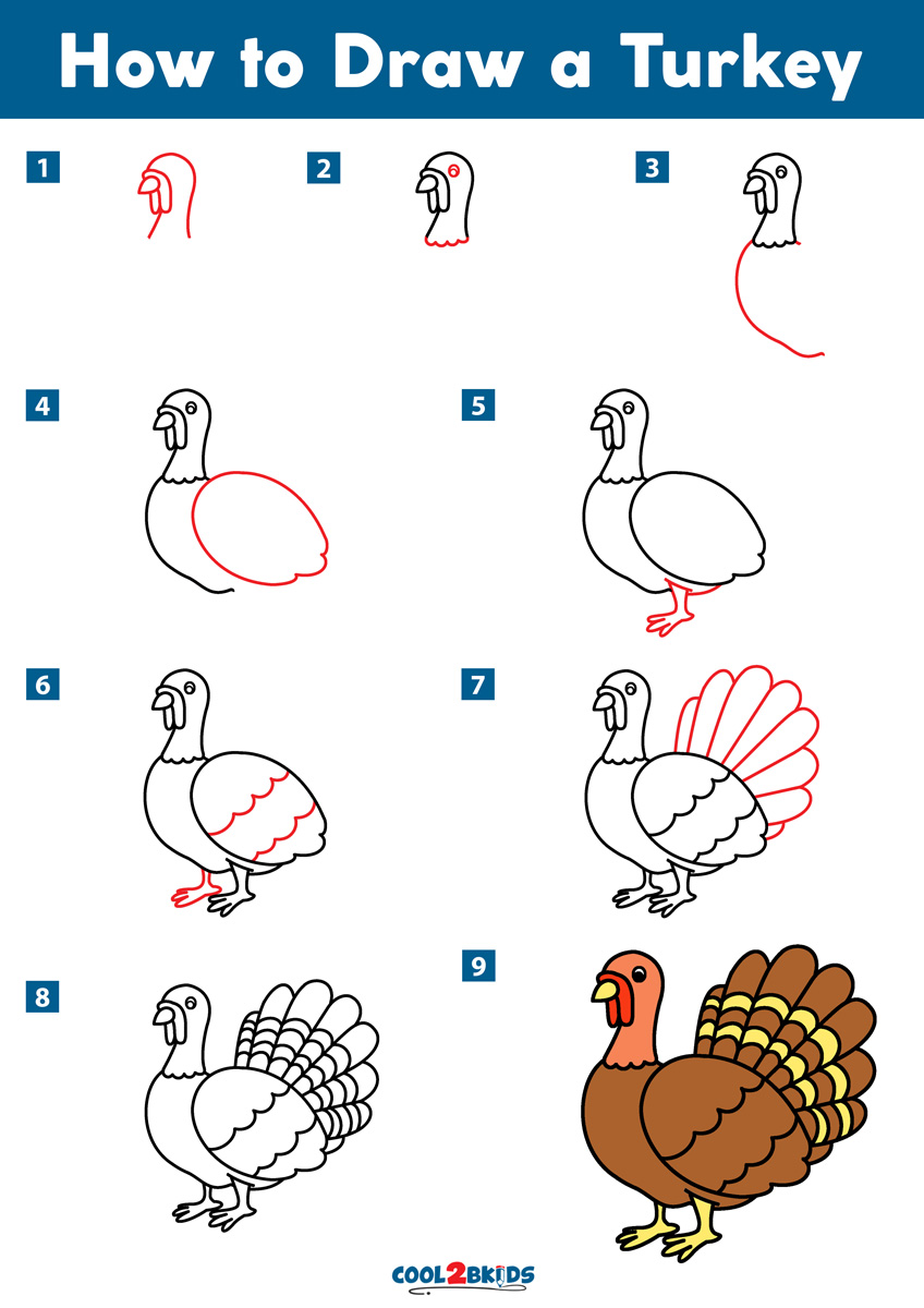 how to draw a turkey step by step