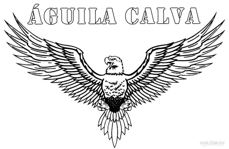Dibujos De guila Calva Para Colorear P ginas Para Imprimir Gratis