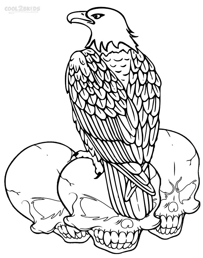 Dibujos de Águila Calva para colorear - Páginas para imprimir gratis