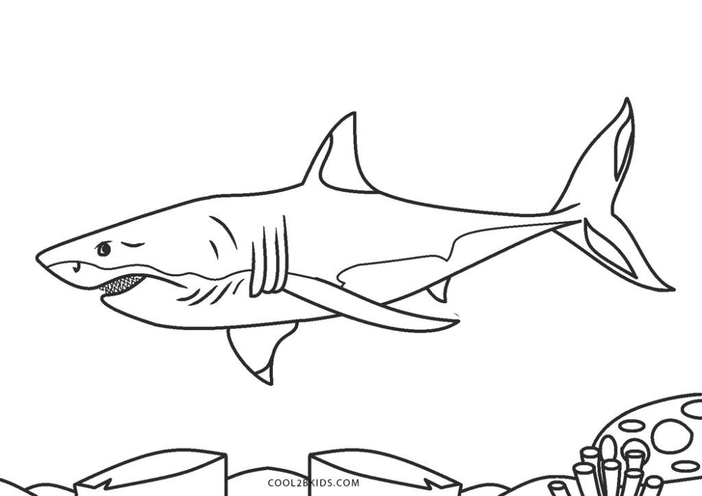 Free Printable Shark Coloring Pages For Kids