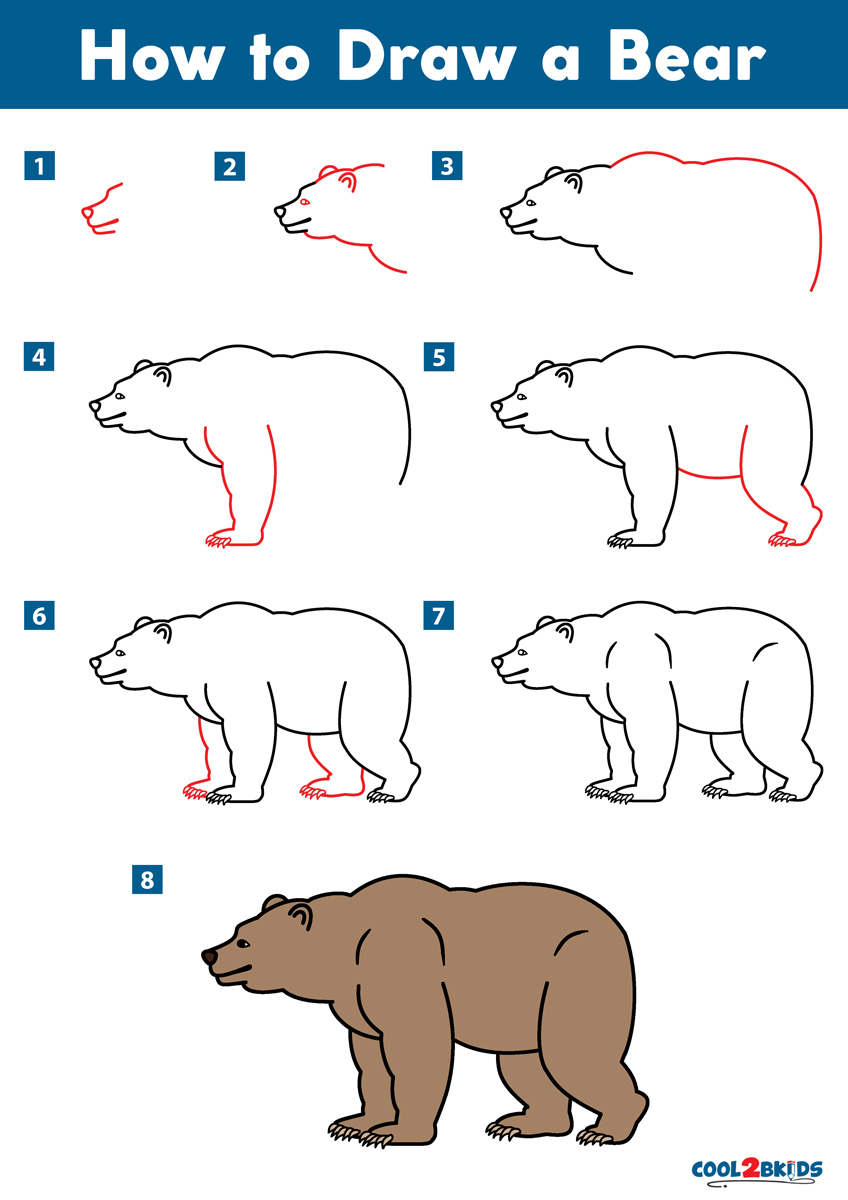 How To Draw A Grizzly Bear Step By Step Easy