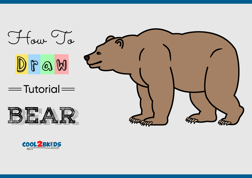 How to Draw a Bear