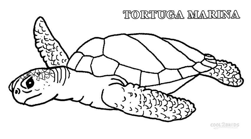 Dibujos de Tortuga Marina para colorear - Páginas para imprimir gratis