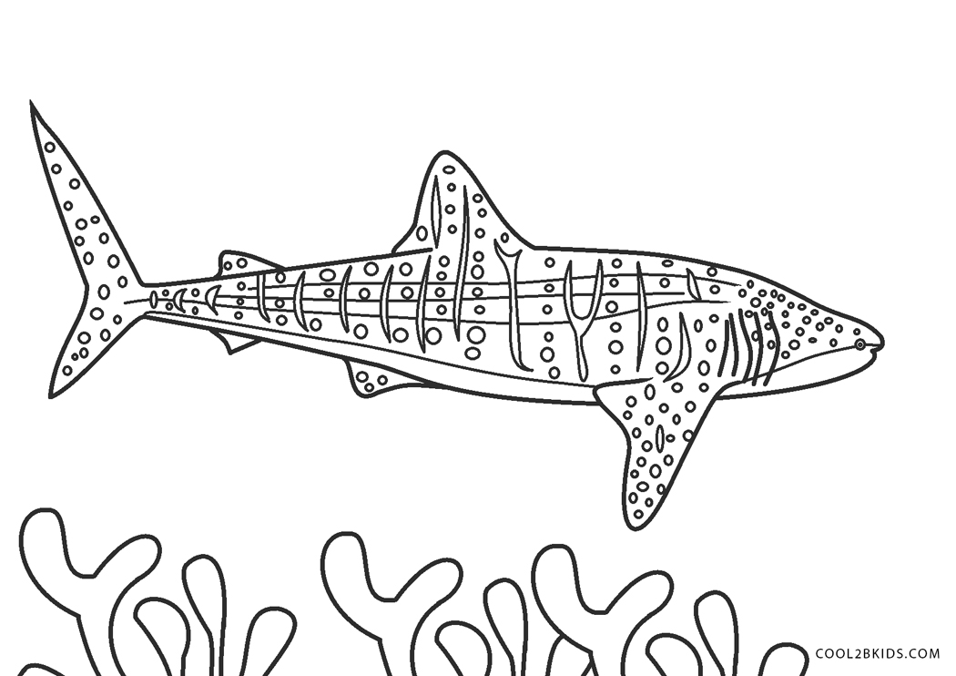 Free Printable Shark Coloring Pages For Kids