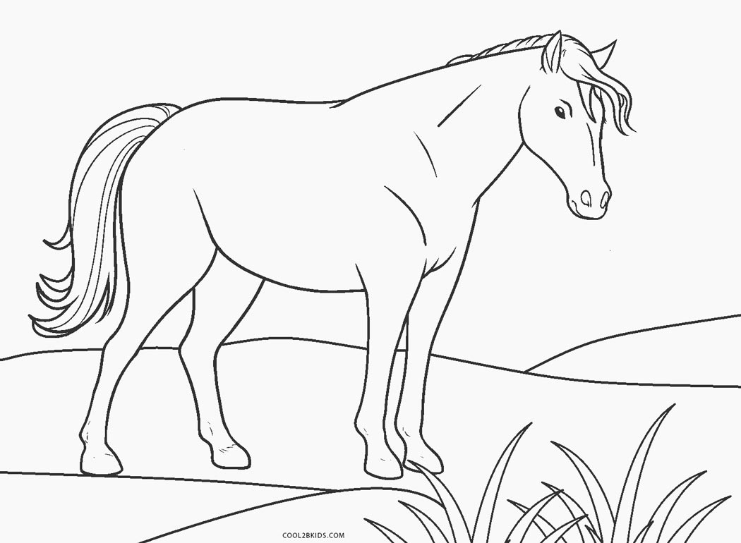Ausmalbilder Pferde   Malvorlagen kostenlos zum ausdrucken