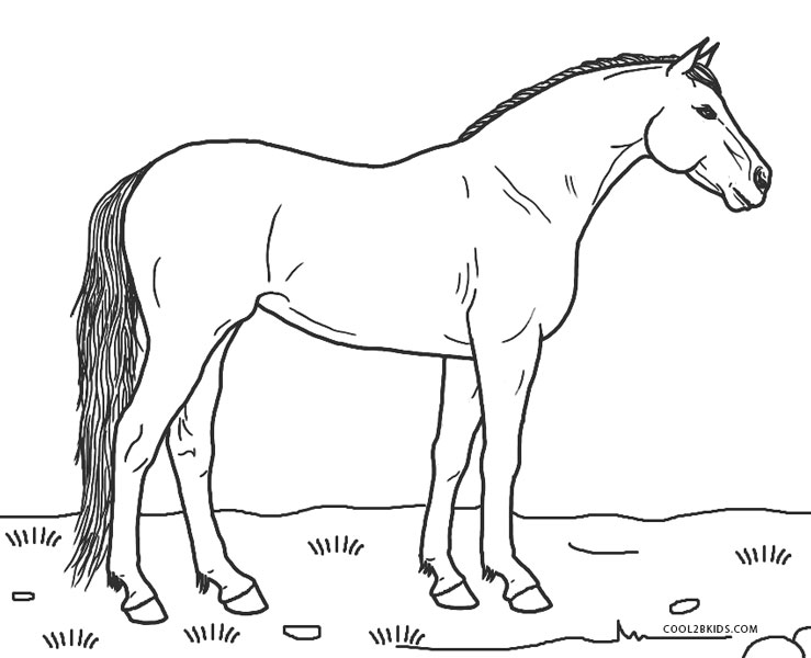 ausmalbilder pferde  malvorlagen kostenlos zum ausdrucken