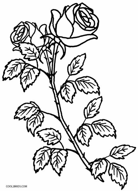 Malvorlagen Blumen Rosen - Big Rose Coloring Pages Blumen Ausmalbilder