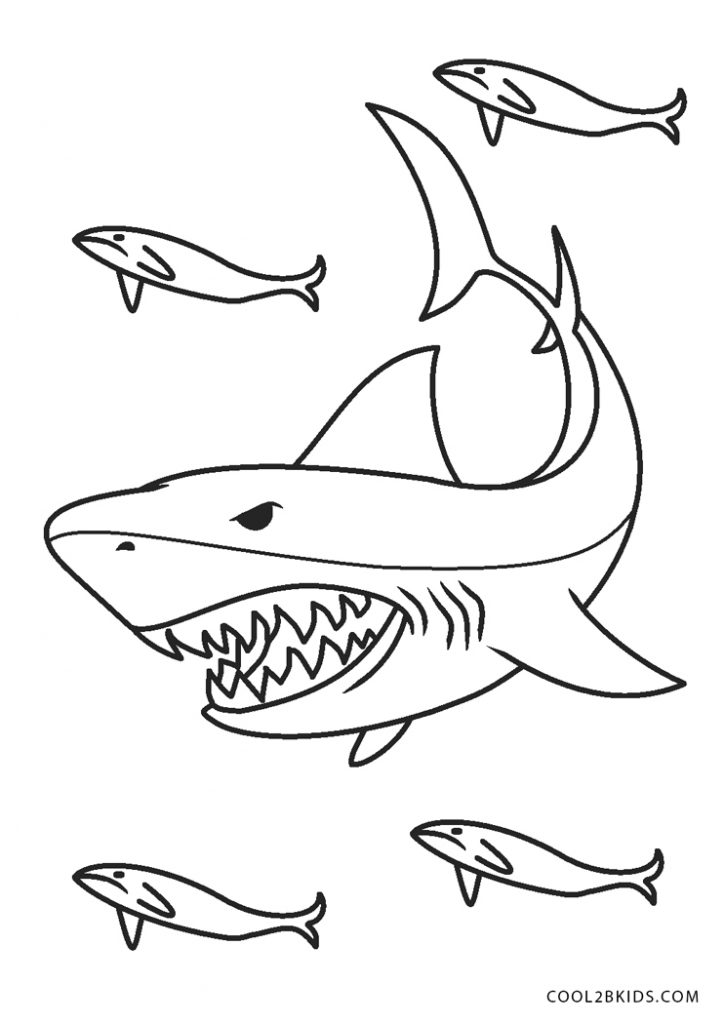 Dibujos de Tiburón para colorear - Páginas para imprimir gratis