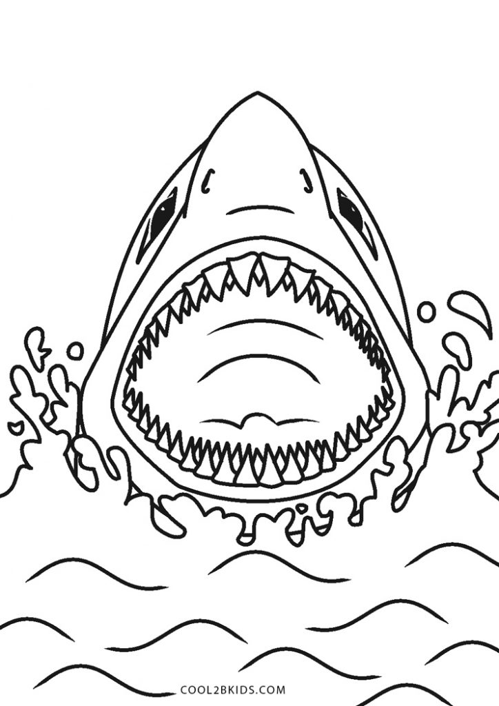 Dibujos de Tiburón para colorear - Páginas para imprimir gratis