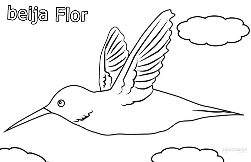 Desenhos de Beija-flor para Imprimir e Colorir