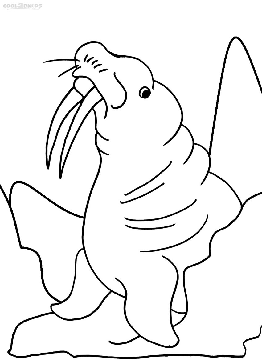 Desenho de Morsa macho adulto para colorir