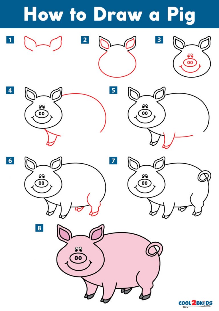 New Sketch How To Draw A Pig for Beginner