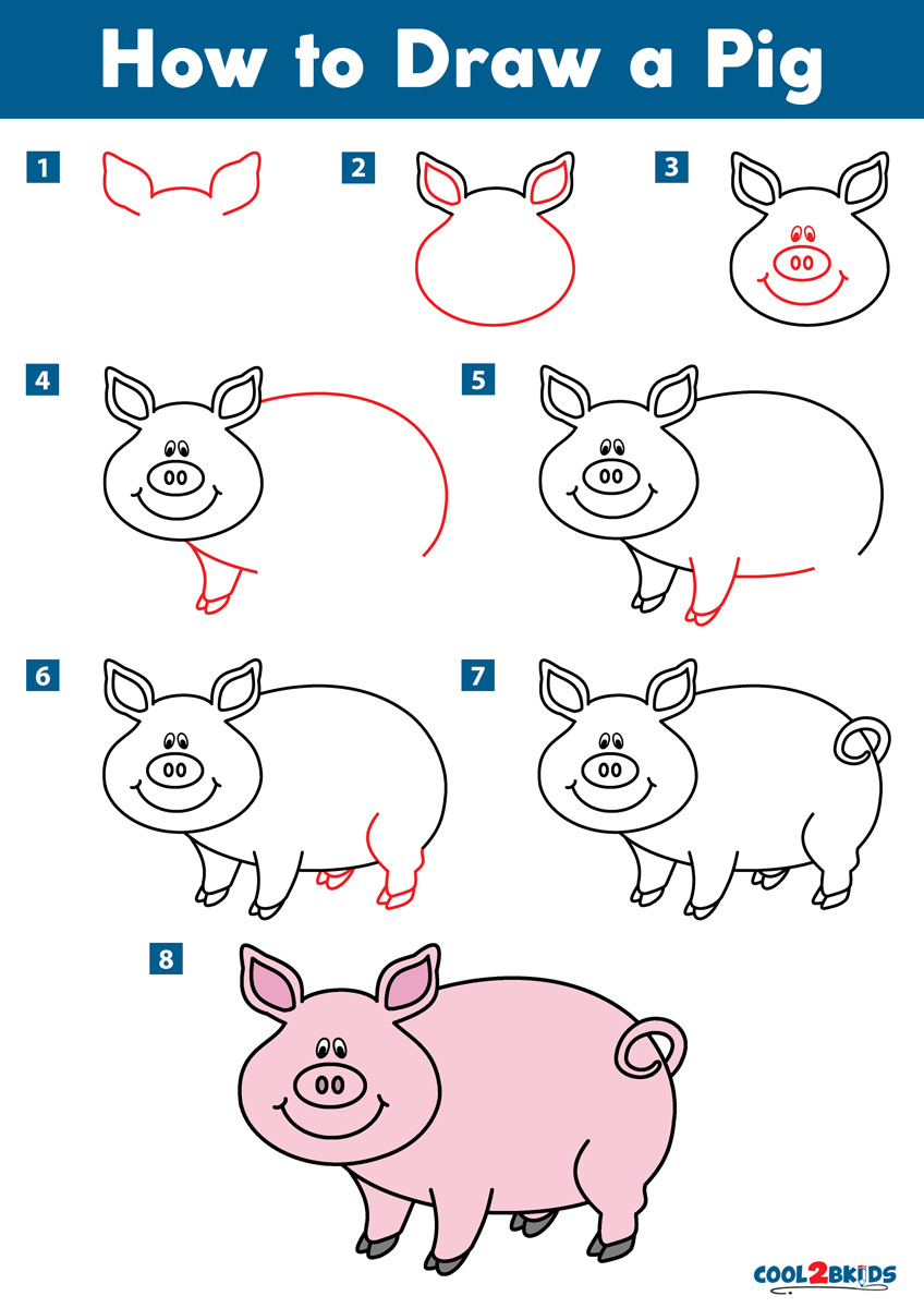 How to Draw a Pig - Cool2bKids