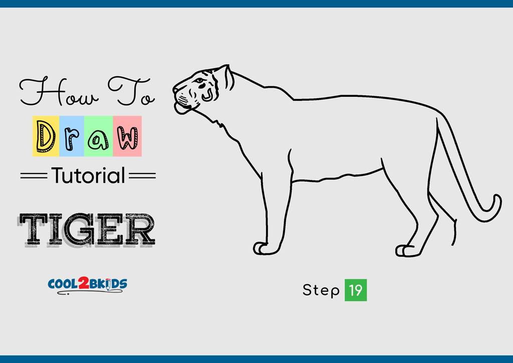 How to Draw a Tiger