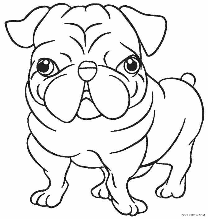 Desenho Para Colorir Cachorro - Adultos e Filhotes Para Pintar