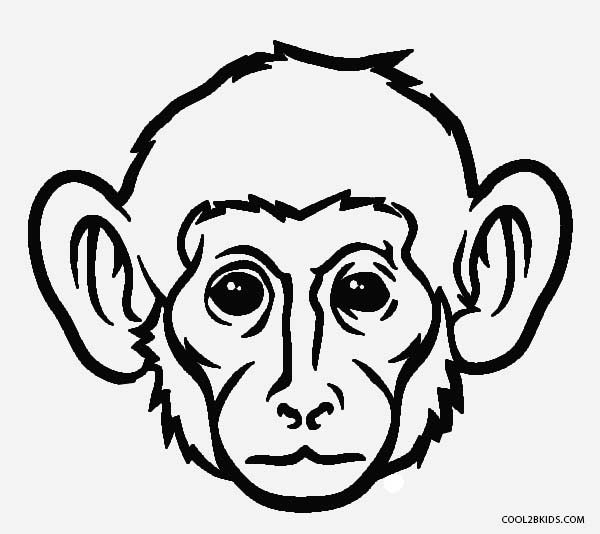 Rosto do macaco para colorir - Imprimir Desenhos