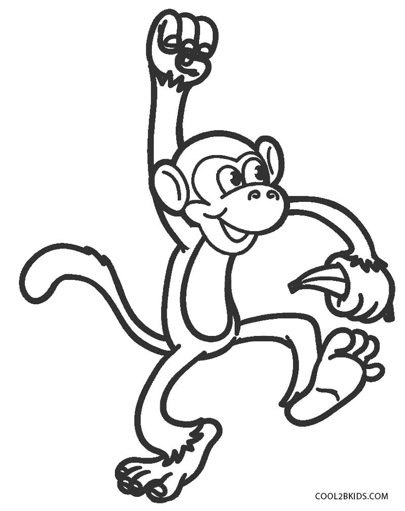 Pinte Um Macaco-Aranha! Divertido Desenho Para Colorir!