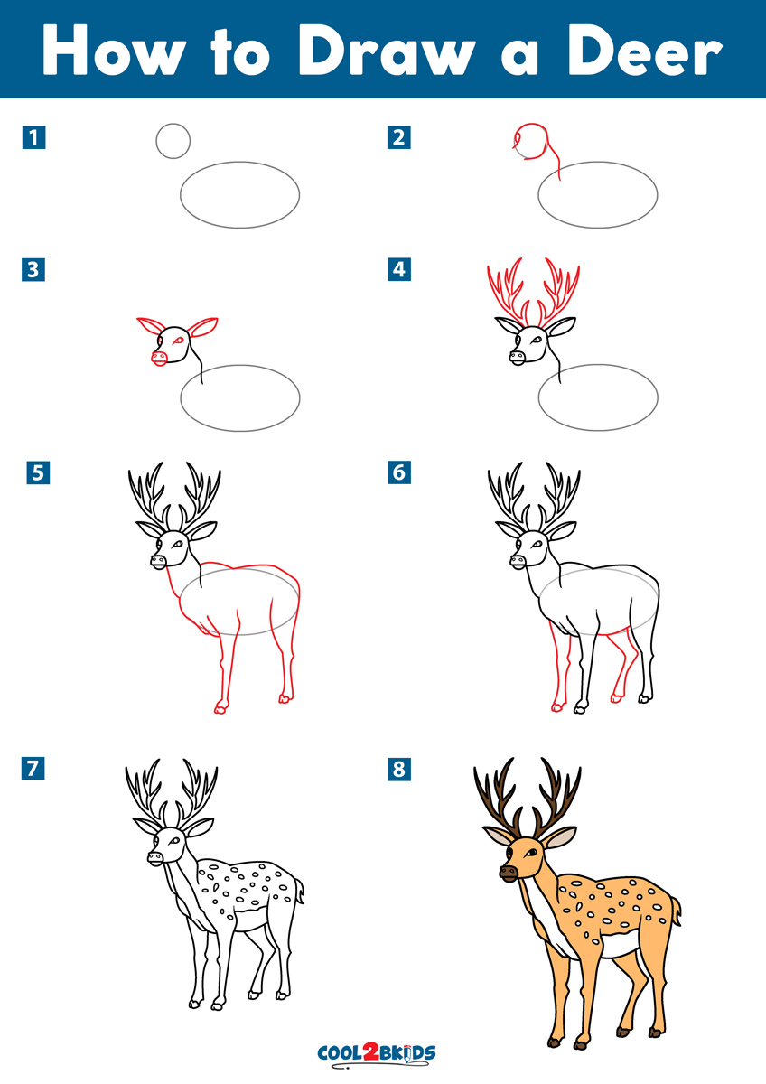 How to Draw a Deer