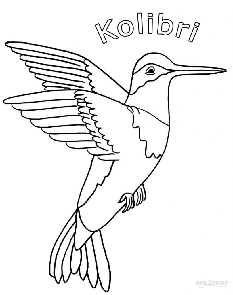 Ausmalbilder Kolibri - Malvorlagen kostenlos zum ausdrucken