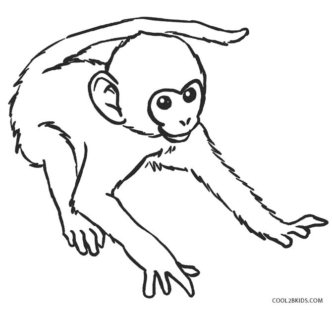 Desenhos de Macaco para colorir - Páginas para impressão grátis