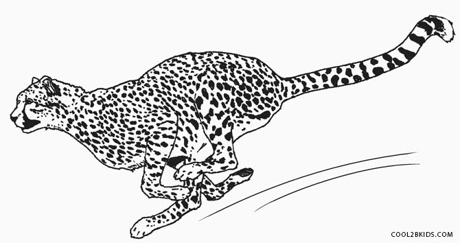 ausmalbilder geparden  malvorlagen kostenlos zum ausdrucken