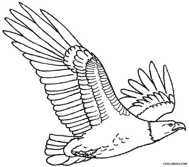 Ausmalbilder Adler - Malvorlagen kostenlos zum ausdrucken