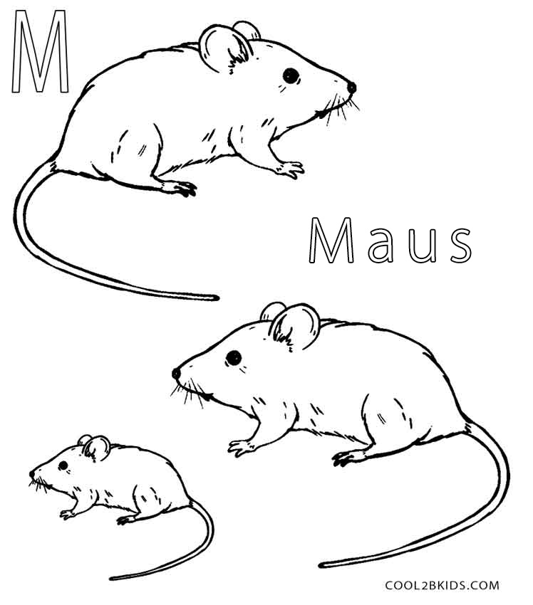 Ausmalbilder Maus - Malvorlagen kostenlos zum ausdrucken