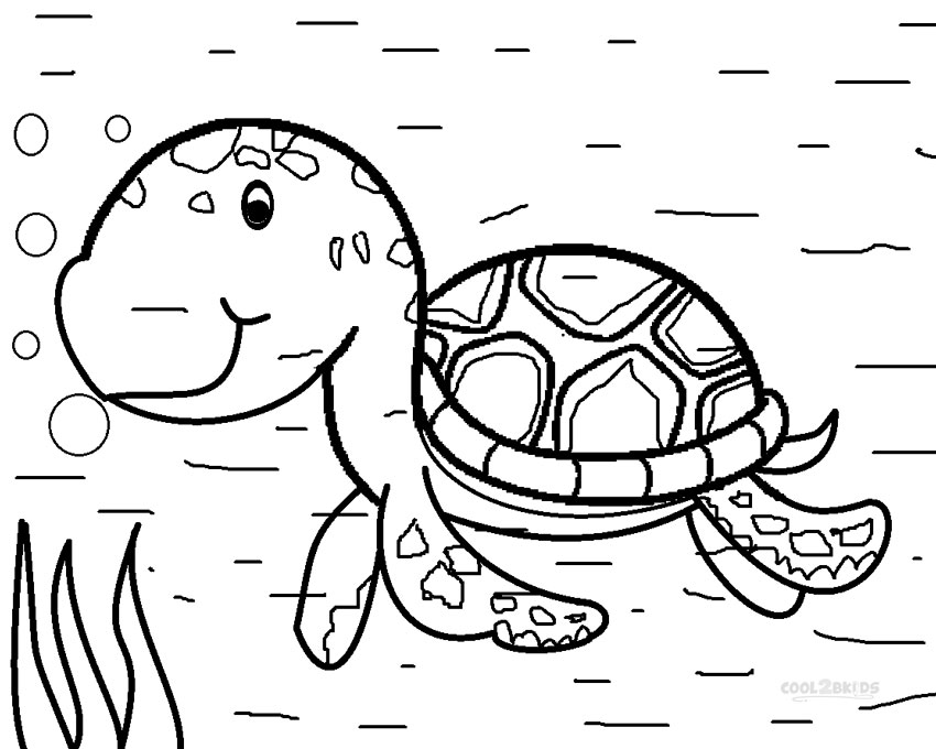 ausmalbilder meeresschildkröte  malvorlagen kostenlos zum