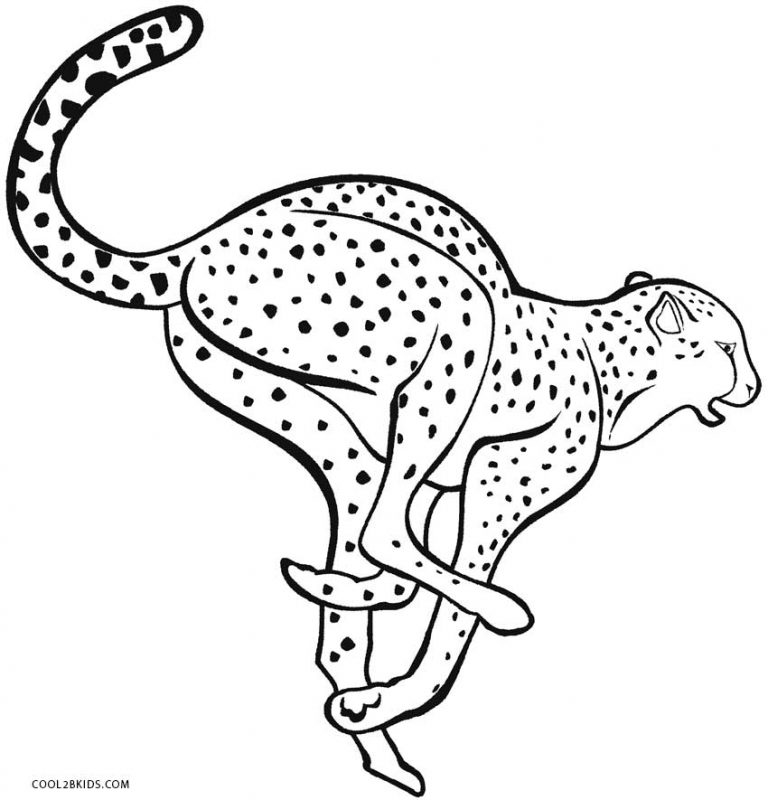 ausmalbilder geparden - malvorlagen kostenlos zum ausdrucken
