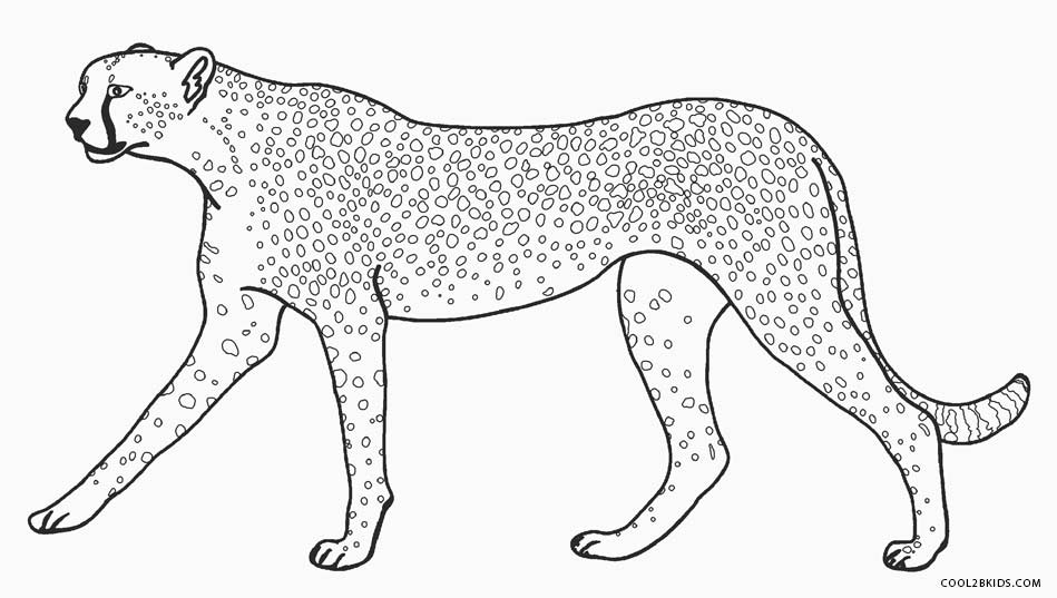 ausmalbilder geparden - malvorlagen kostenlos zum ausdrucken