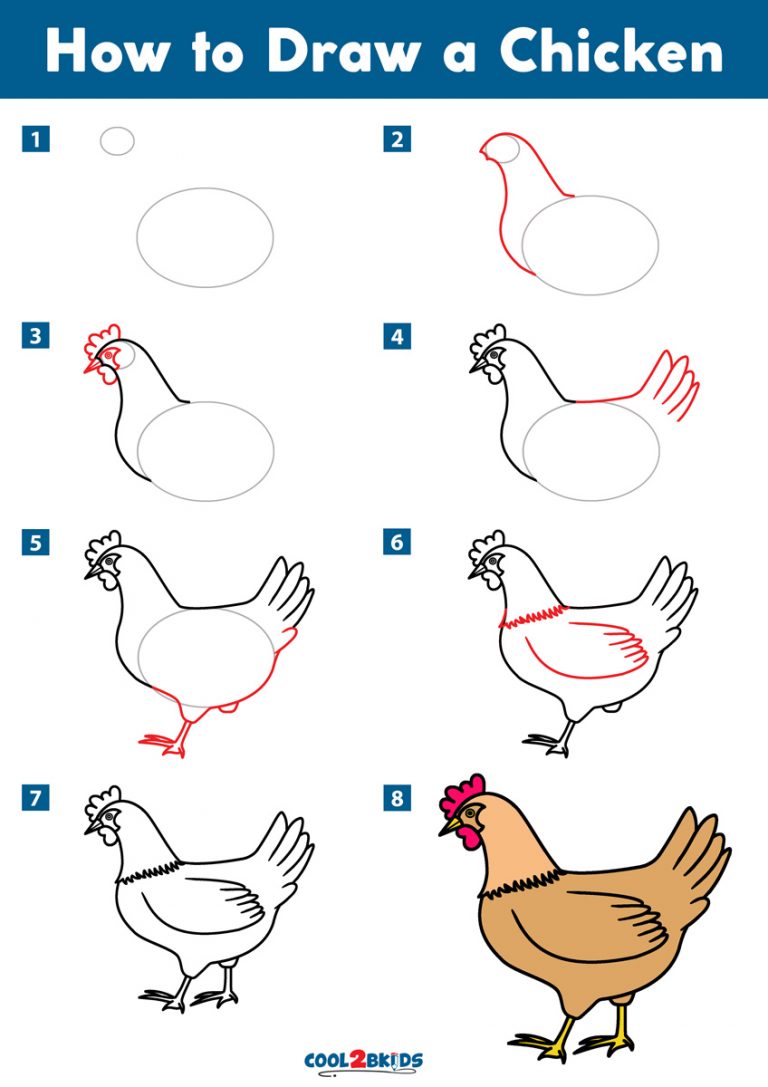 How to Draw a Chicken Cool2bKids