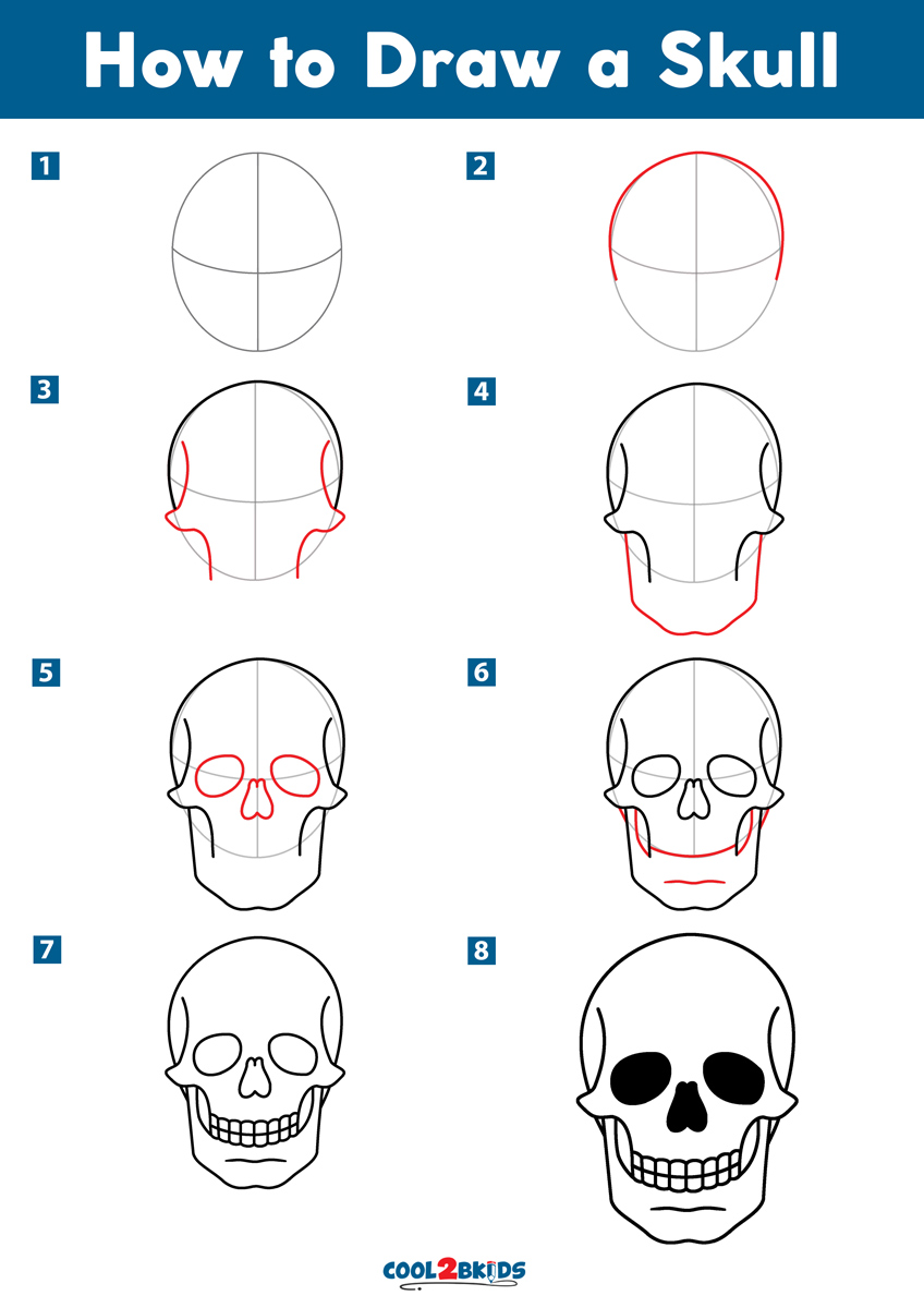 How To Draw A Realistic Human Skull