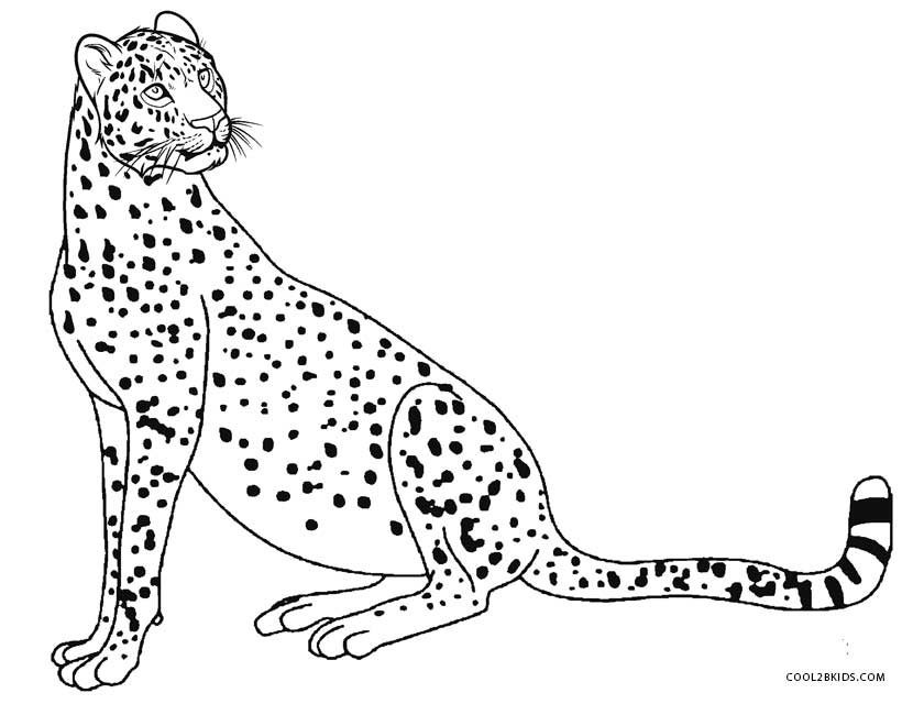 Ausmalbilder Geparden - Malvorlagen kostenlos zum ausdrucken