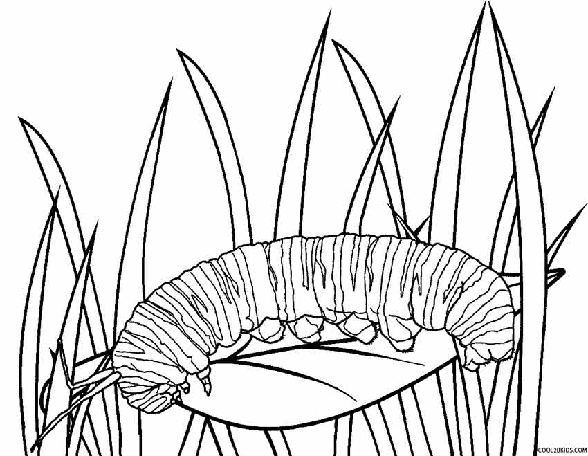 Ausmalbilder Raupe - Malvorlagen kostenlos zum ausdrucken