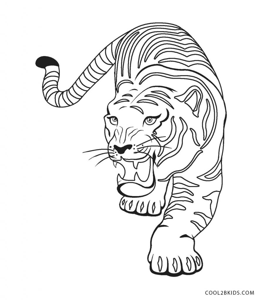 ausmalbilder tiger  malvorlagen kostenlos zum ausdrucken