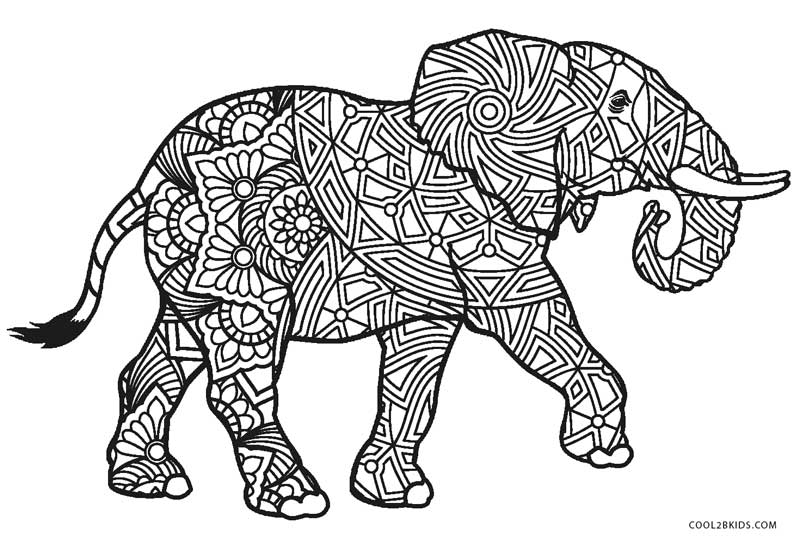 ausmalbilder elefant  malvorlagen kostenlos zum ausdrucken