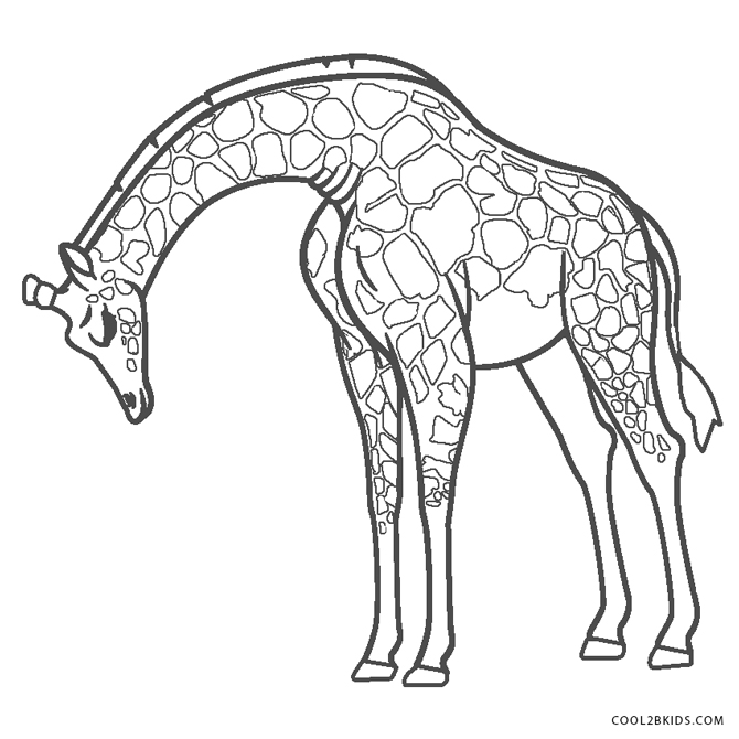 ausmalbilder giraffe  malvorlagen kostenlos zum ausdrucken