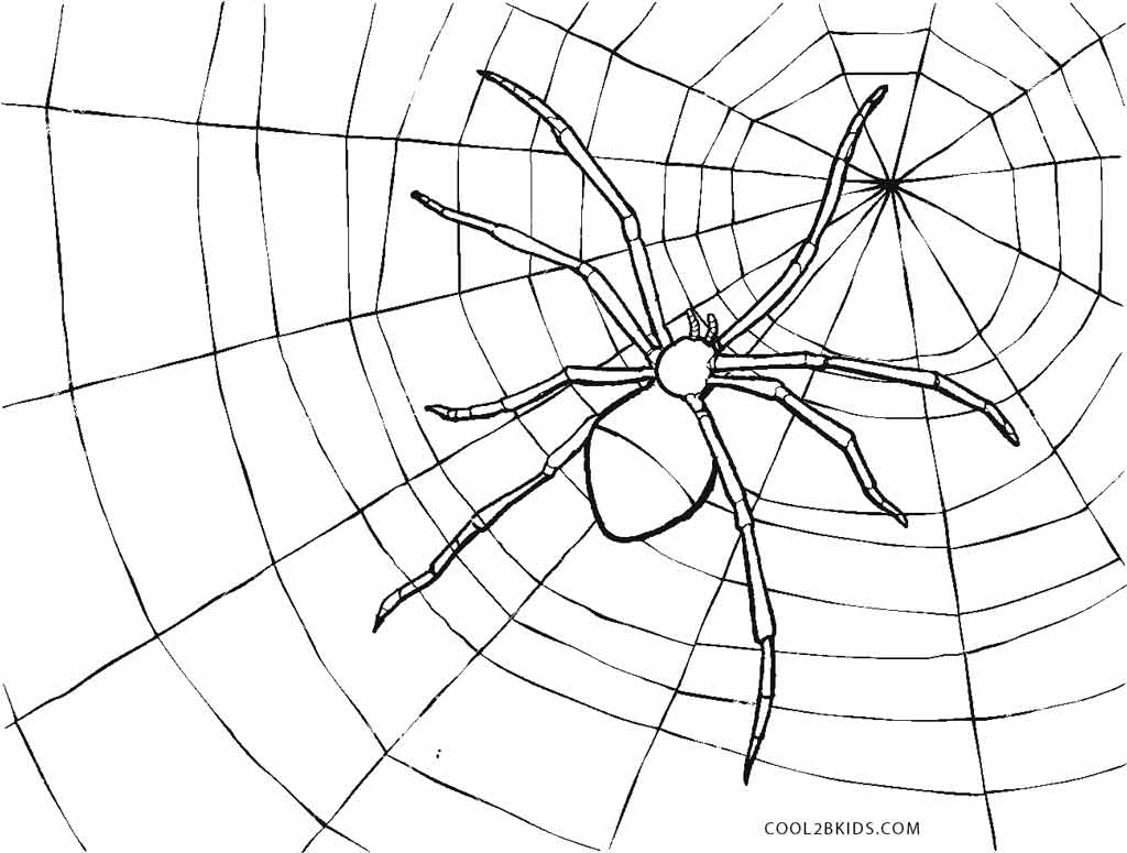 Ausmalbilder Spinne - Malvorlagen kostenlos zum ausdrucken