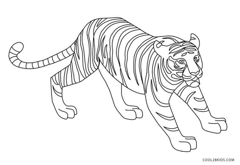 ausmalbilder tiger - malvorlagen kostenlos zum ausdrucken