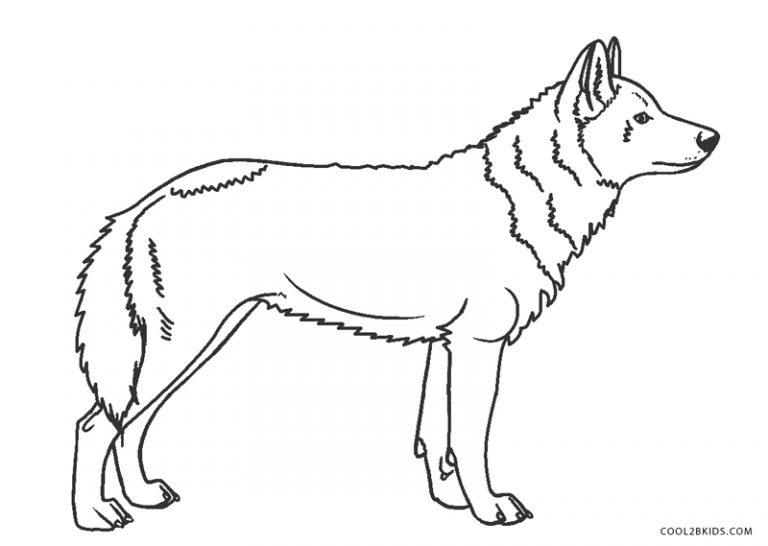 Ausmalbilder Wolf - Malvorlagen kostenlos zum ausdrucken