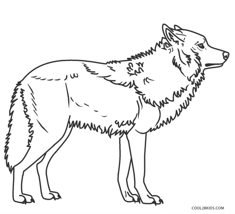 Ausmalbilder Wolf - Malvorlagen kostenlos zum ausdrucken