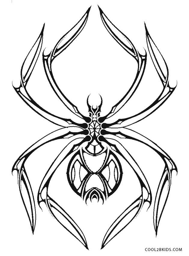 Ausmalbilder Spinne - Malvorlagen kostenlos zum ausdrucken