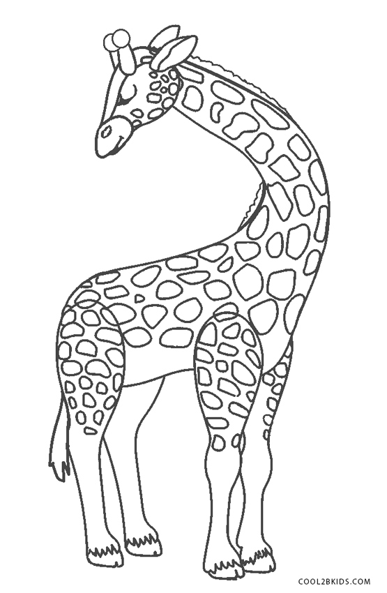 ausmalbilder giraffe  malvorlagen kostenlos zum ausdrucken