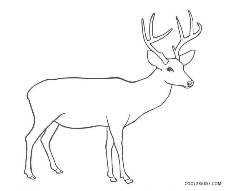Ausmalbilder Hirsch - Malvorlagen kostenlos zum ausdrucken