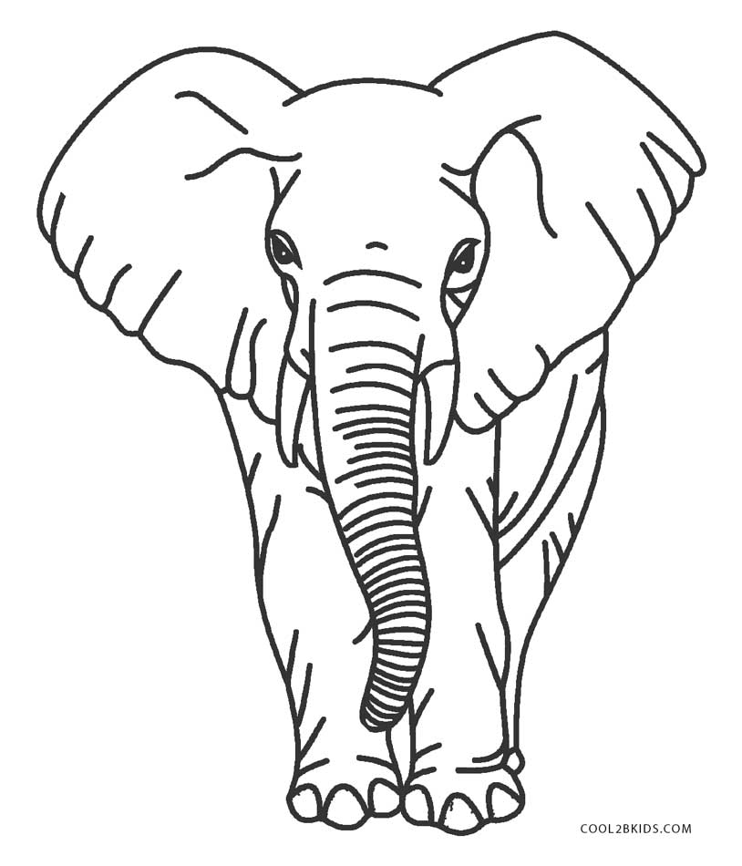 Ausmalbilder Elefant - Malvorlagen kostenlos zum ausdrucken