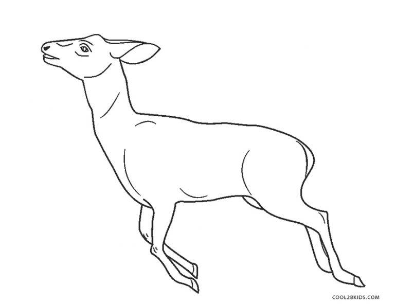 Ausmalbilder Hirsch Malvorlagen kostenlos zum ausdrucken Ausmalbilder Hirsch Malvorlagen kostenlos zum ausdrucken