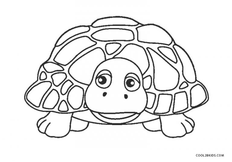 Ausmalbilder Schildkröte - Malvorlagen kostenlos zum ausdrucken